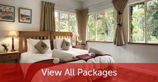 One Bedroom Suite